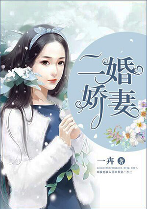 二婚娇妻
