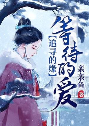 追寻的缘：等待的爱