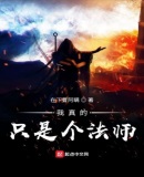 我真的只是个法师！