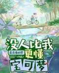 没人比我更懂宝可梦