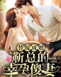 替嫁成婚：靳总的幸孕傻妻