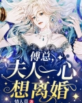 傅总，夫人一心想离婚