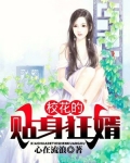 校花的贴身狂婿