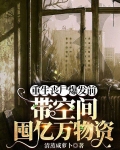 重生丧尸爆发前带空间囤亿万物资
