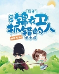 淡定，我们锦衣卫抓错的人还少吗