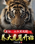 直播：从华夏龙脉养大虎崽开始