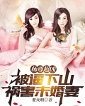 师尊超凶，被逼下山祸害未婚妻