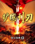 护国利刃
