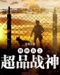 特种兵之超品战神免费阅读