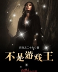 不是游戏王