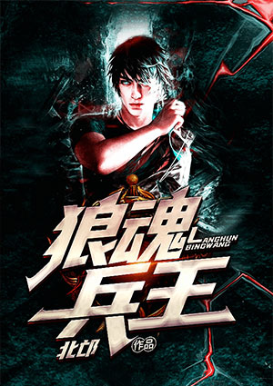 狼魂兵王